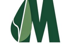 Modern Herbal